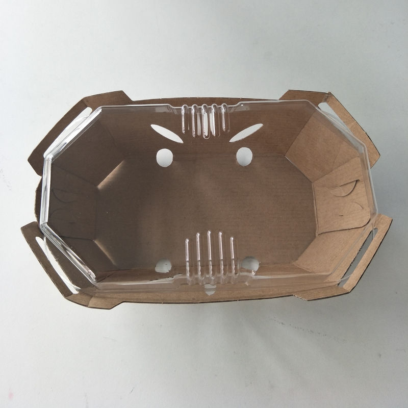 Recyclable поднос плода 350gsm Kraft бумажный с крышкой ЛЮБИМЦА