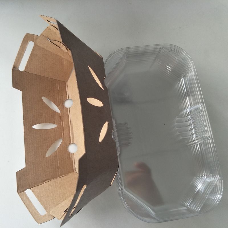 Recyclable поднос плода 350gsm Kraft бумажный с крышкой ЛЮБИМЦА