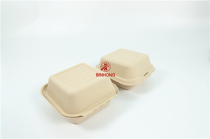 Раковина Biodegradable принимает прочь коробке устойчивую упаковку фаст-фуда